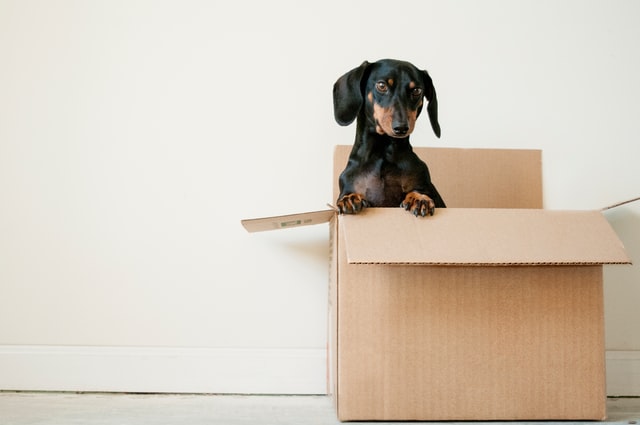 The Basic Responsibilities of a Moving Company
