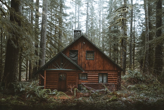 From City Lights to Starlight Nights: Escape to Your Log Cabin Hideaway
