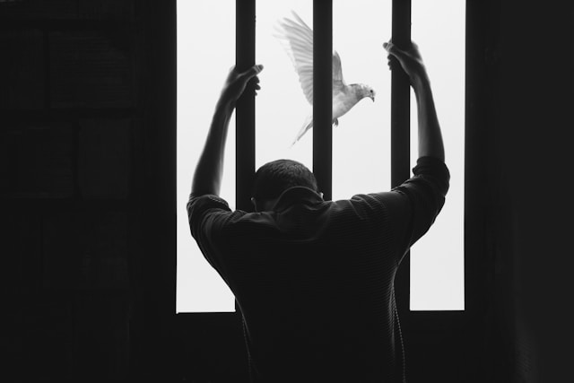 Comprehensive Guide to Navigating the Legal System When a Loved One is Arrested