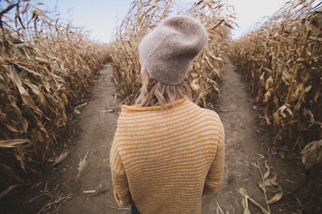 Making Wise Decisions: Practical Strategies for Everyday Choices